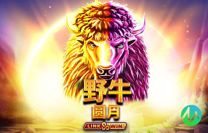 h365游戏官网入口在线